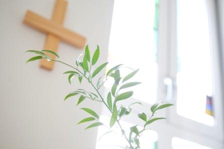Klinikum Dritter Orden Kreuz
